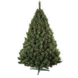 Nohel 91413 Vianočný stromček Borovica, 180 cm, 180 cm